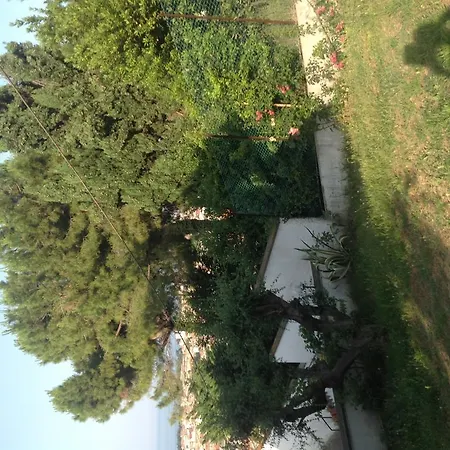 Bed & Breakfast Aersa 3*